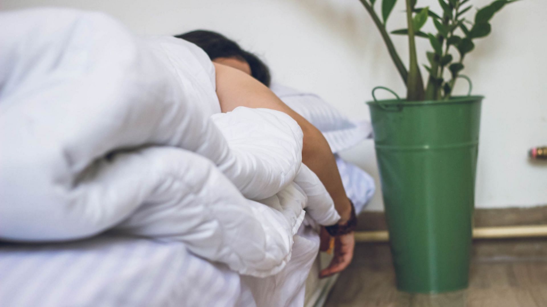 Sleep Myths (Image via Unsplash/Andisheh)